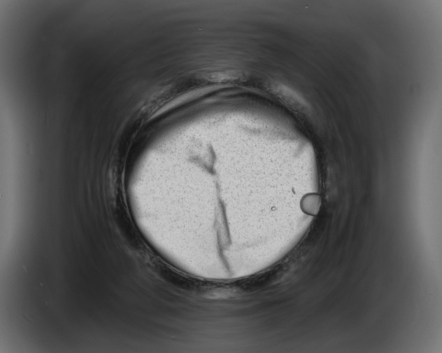 X0000082950210200703020157