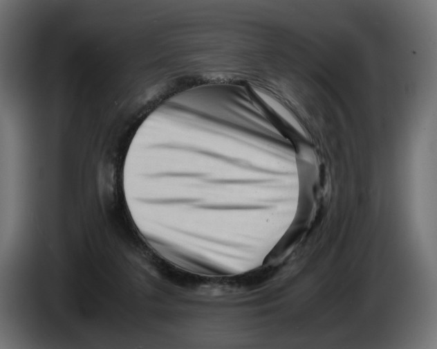 X0000082950211200703020157