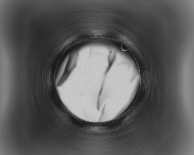 X0000082950212200703020157