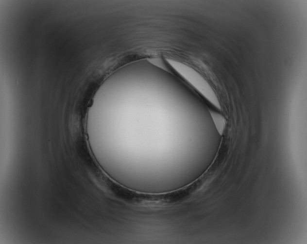 X0000082950213200703020157