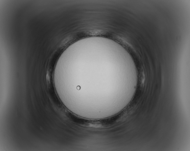 X0000082950214200703020157