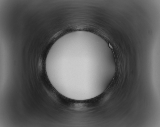 X0000082950216200703020157