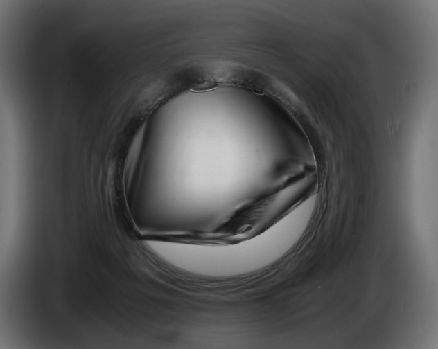 X0000082950217200703020157