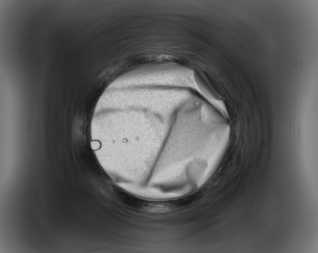 X0000082950218200703020157