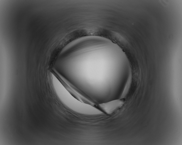 X0000082950221200703020157