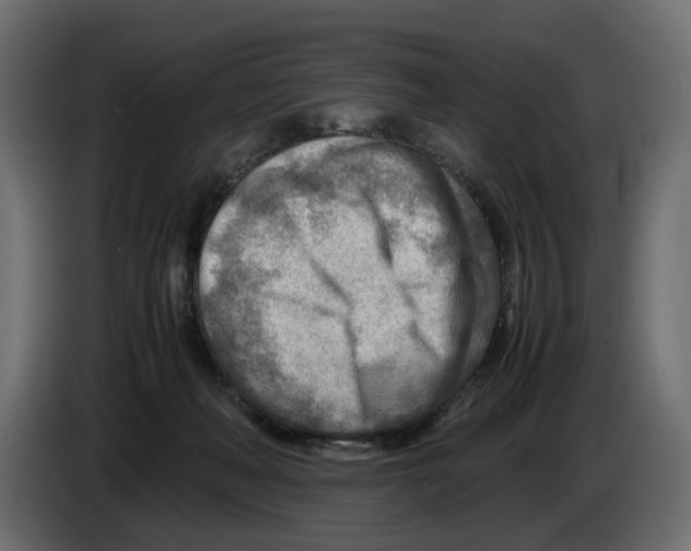 X0000082950222200703020157