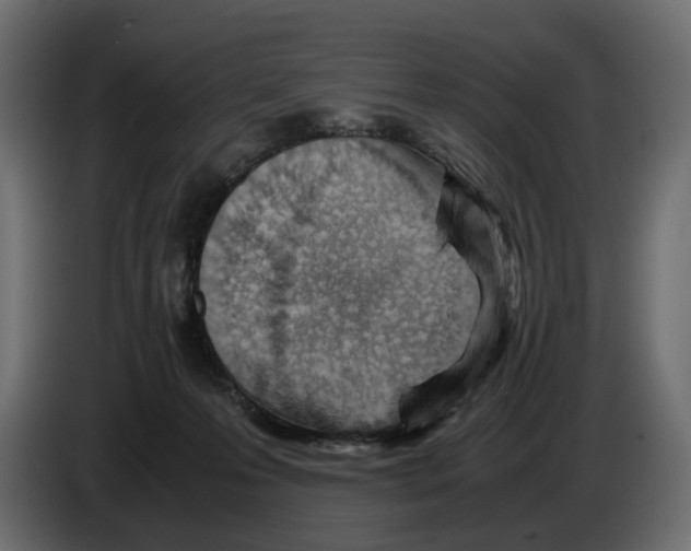 X0000082950223200703020157