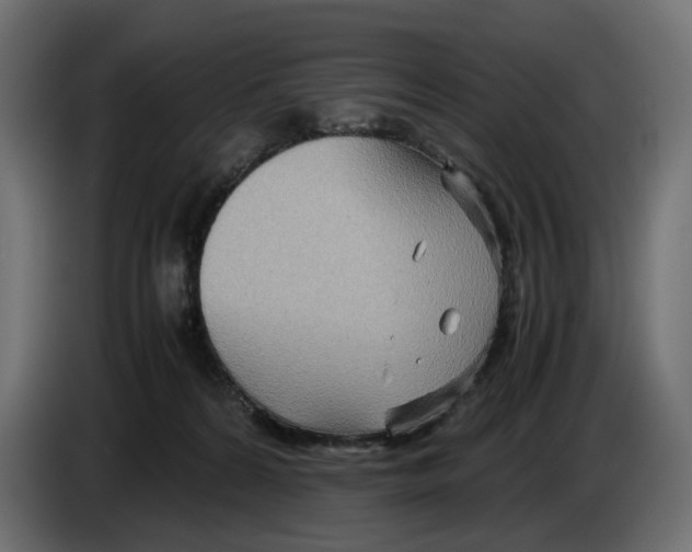 X0000082950224200703020157