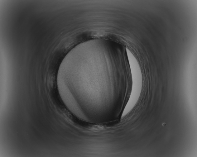 X0000082950227200703020157