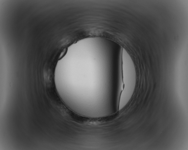 X0000082950228200703020157