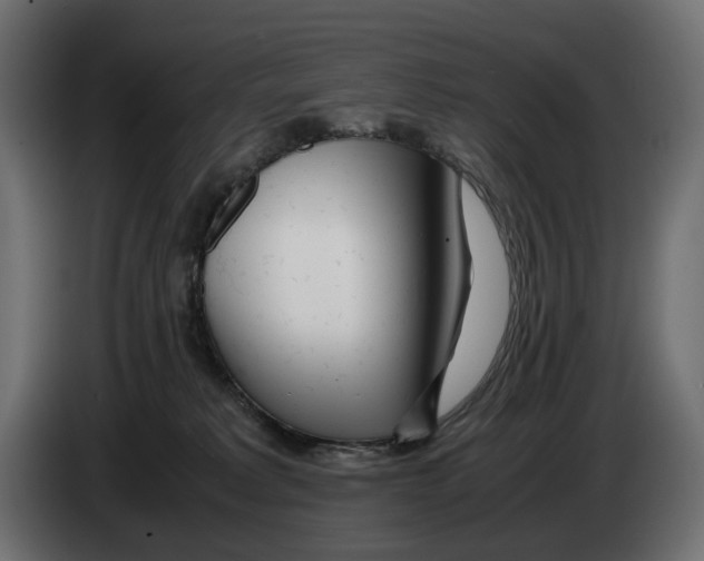 X0000082950229200703020157