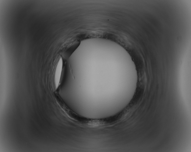 X0000082950231200703020157