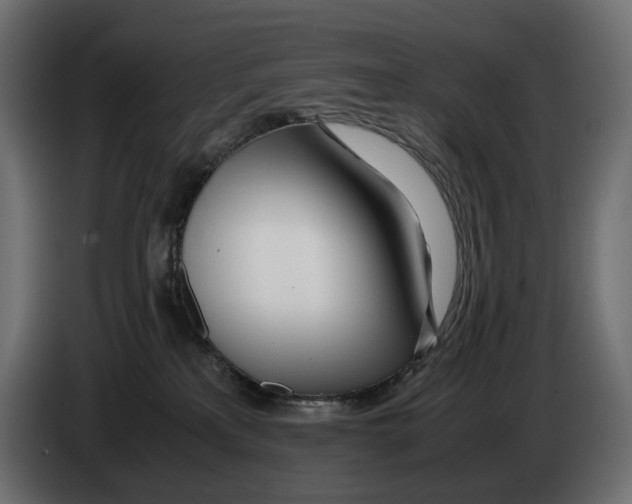 X0000082950233200703020157