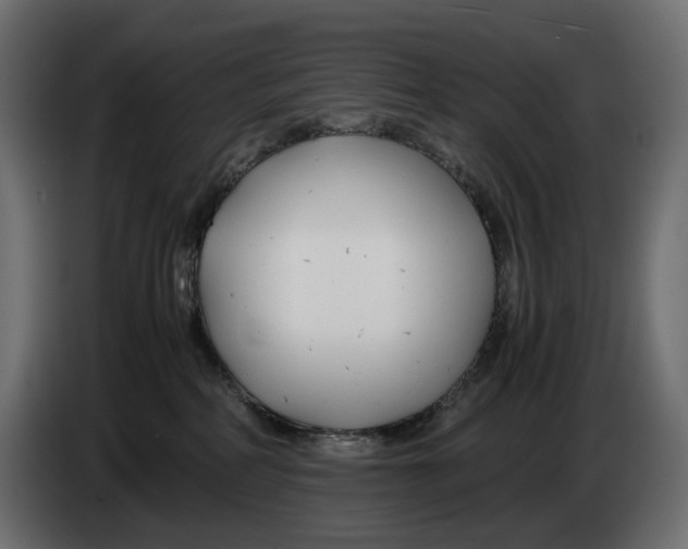 X0000082950234200703020156