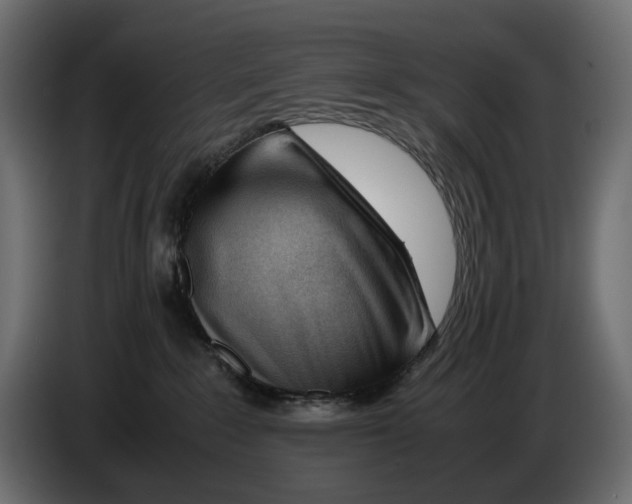 X0000082950235200703020156