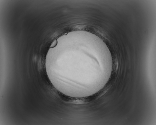 X0000082950236200703020156