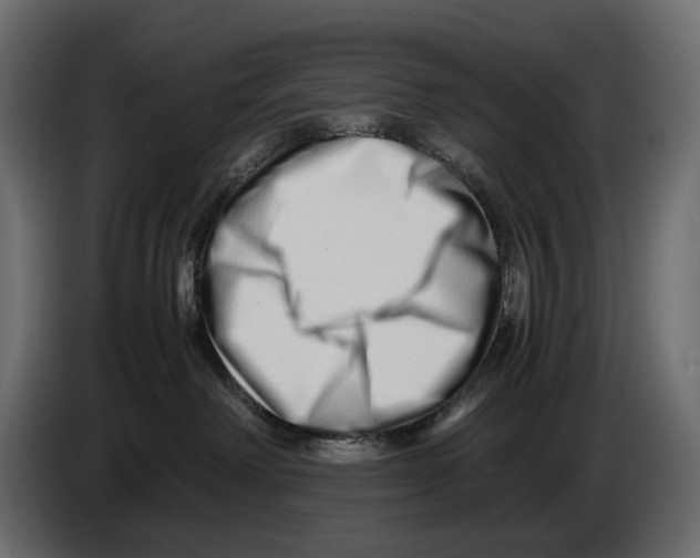 X0000082950238200703020156