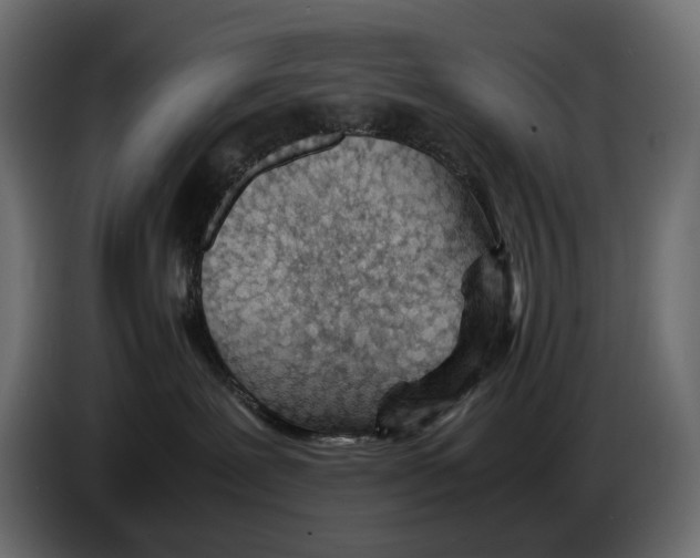 X0000082950239200703020156