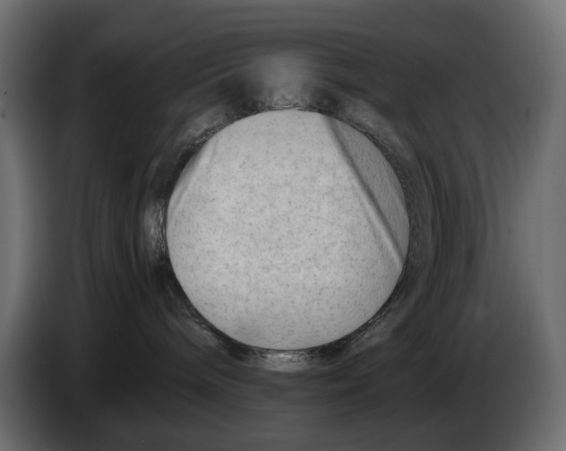 X0000082950240200703020156