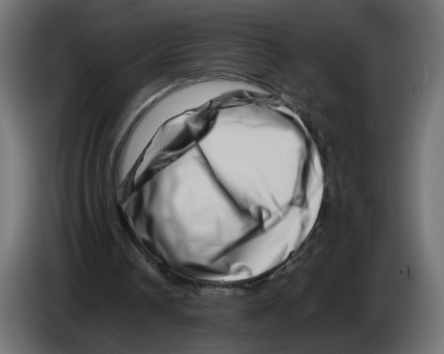 X0000082950242200703020156