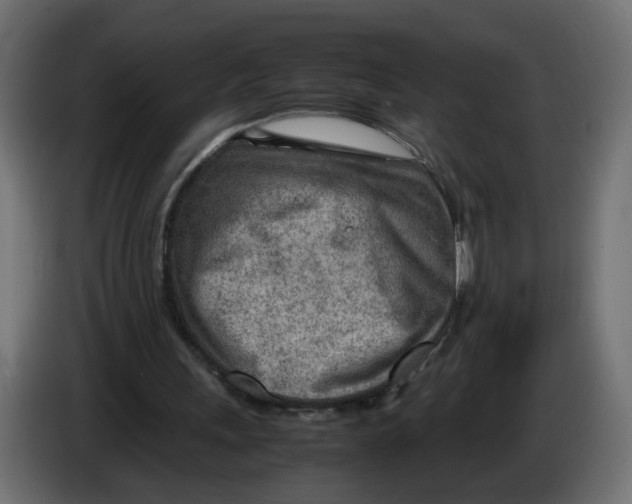 X0000082950243200703020156