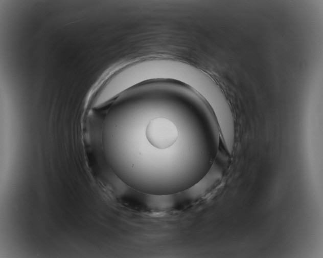 X0000082950244200703020156