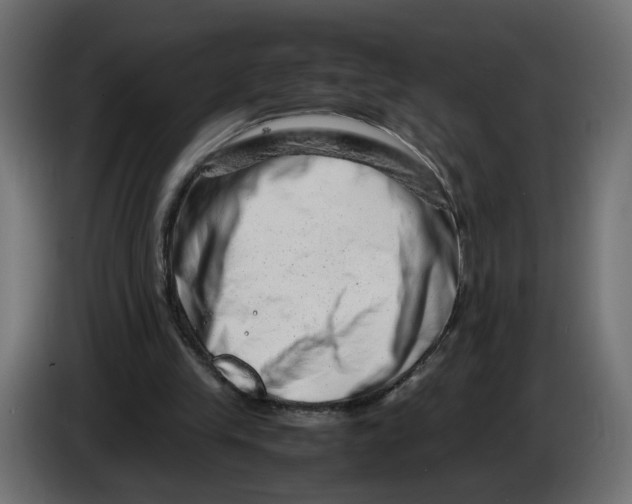 X0000082950245200703020156