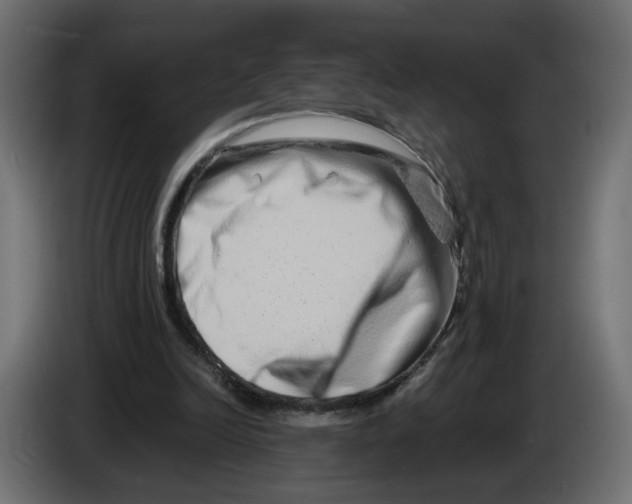 X0000082950246200703020156