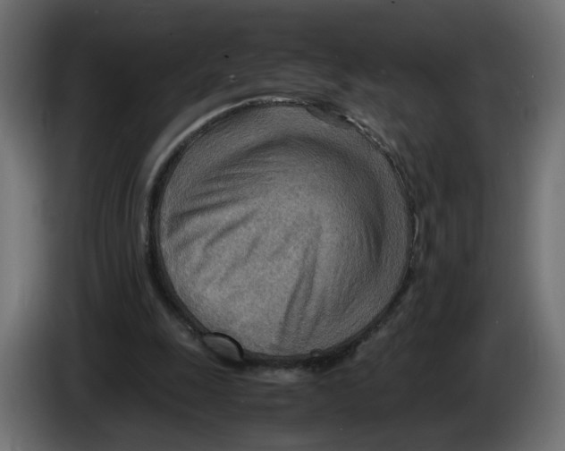 X0000082950247200703020156