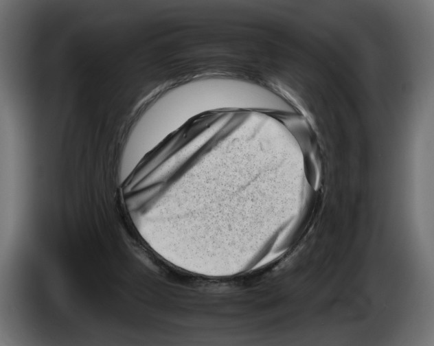 X0000082950249200703020156