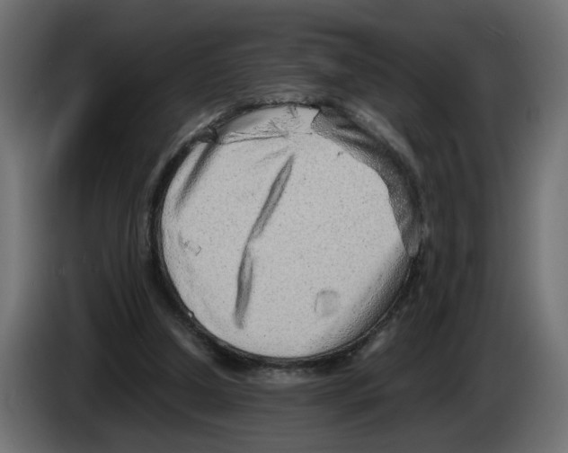 X0000082950250200703020156