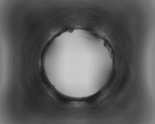 X0000082950251200703020156