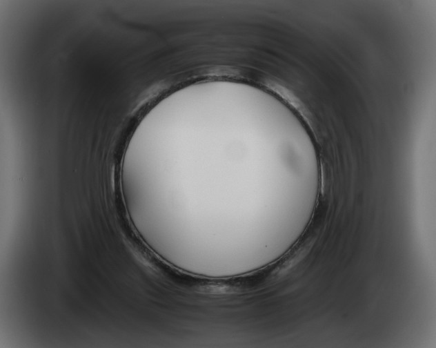 X0000082950253200703020156