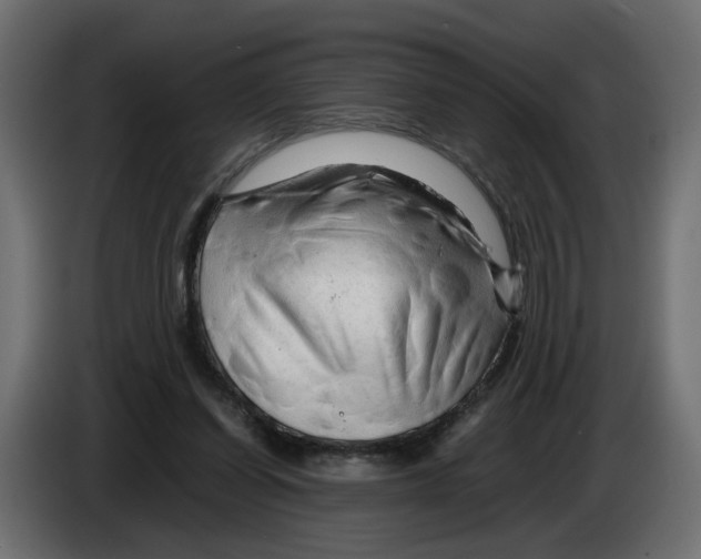 X0000082950254200703020156