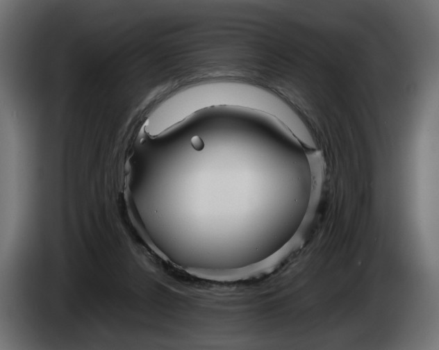 X0000082950256200703020156