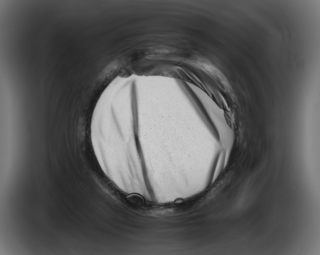 X0000082950257200703020156