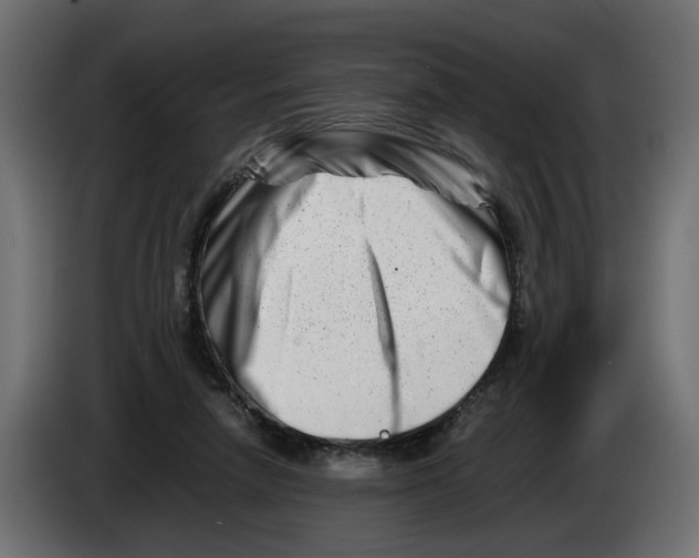 X0000082950258200703020156