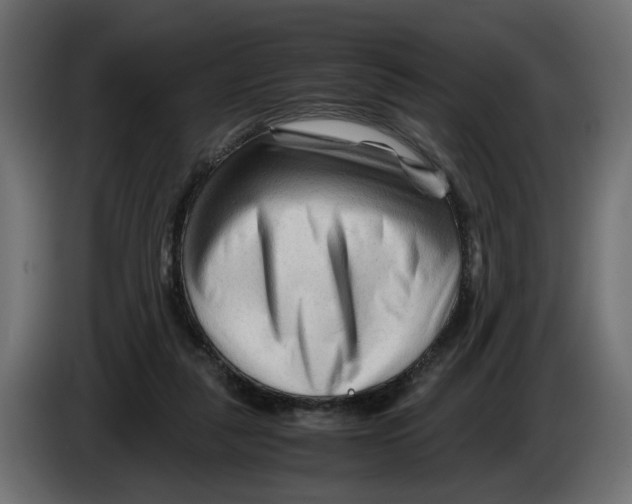 X0000082950259200703020156