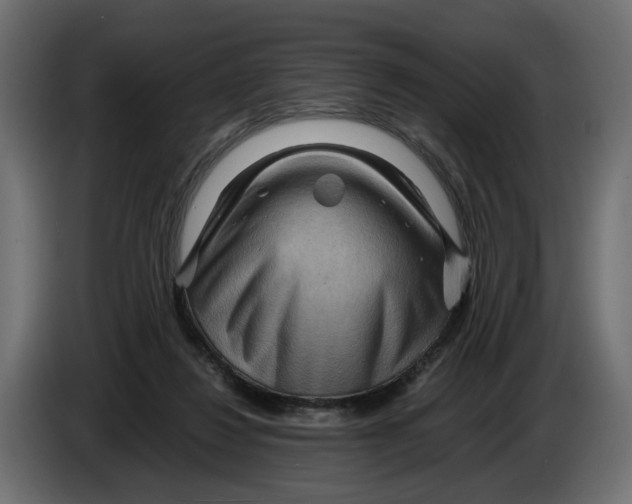 X0000082950260200703020156