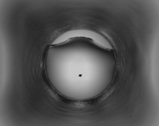 X0000082950261200703020156