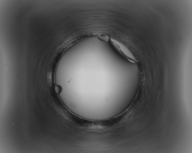 X0000082950262200703020156