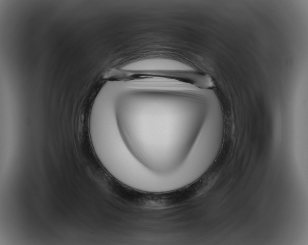 X0000082950263200703020156