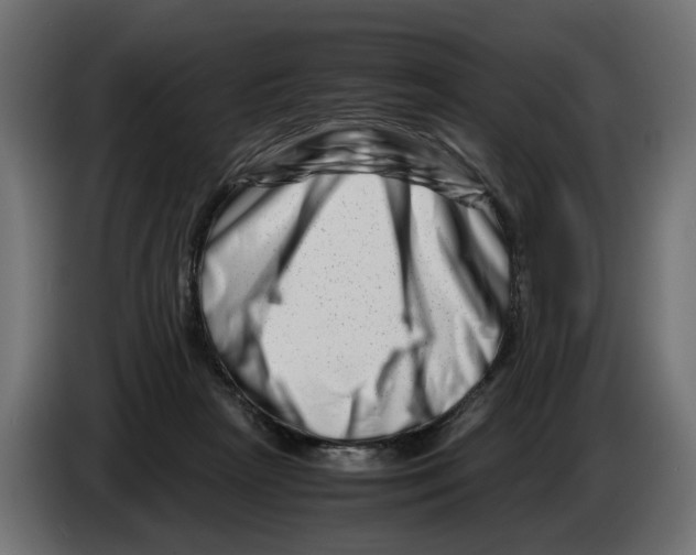 X0000082950265200703020156