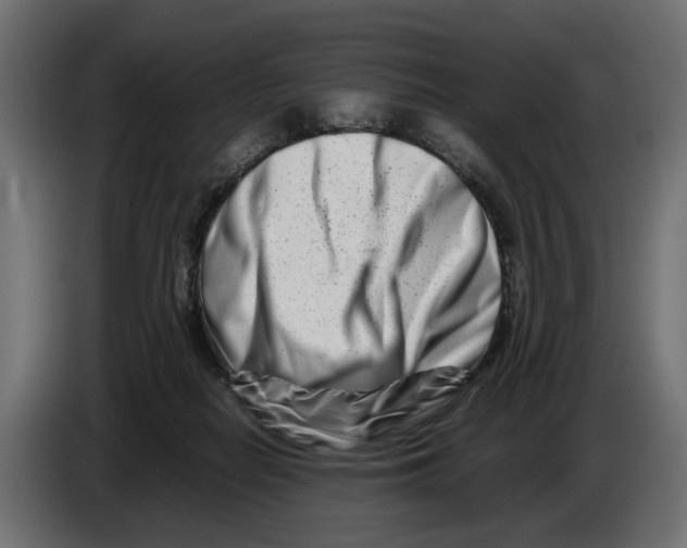 X0000082950266200703020156