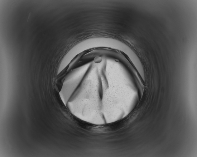 X0000082950269200703020156