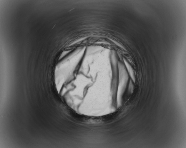 X0000082950270200703020156