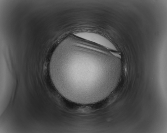 X0000082950271200703020156