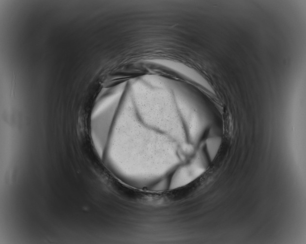 X0000082950272200703020156