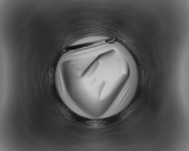 X0000082950273200703020156