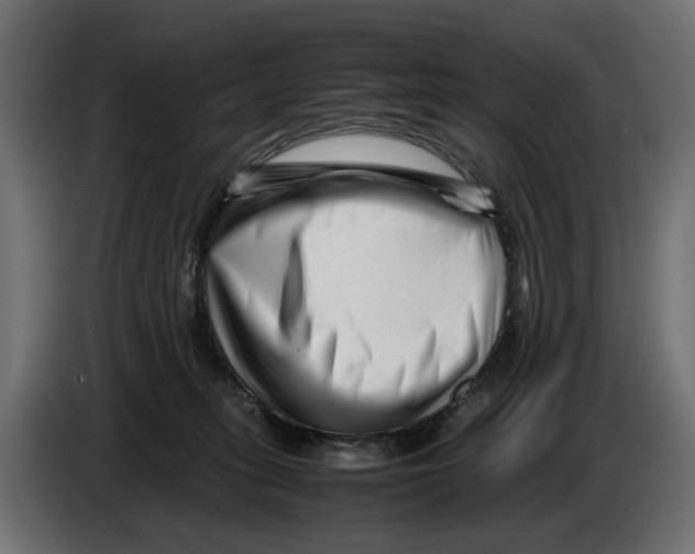 X0000082950275200703020156